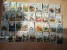 Bild 005.webp