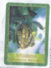 Scan_Pic0001.webp