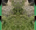 wesen innen.webp