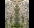wesen aussen.webp