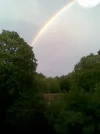 Bild002.webp