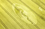 mein_kornkreis.webp