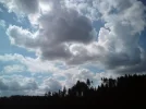 DSC00056.webp