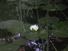 000-0002_AUT.webp