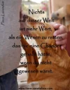 nichts ist mehr wert.webp
