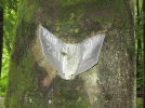 12. h.webp