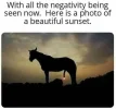 117665161_10158996154428982_1359308298748874963_n.webp