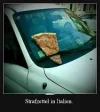 Pizza 1.webp