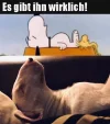 snoopy.webp