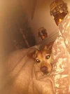 20201006_213826.webp