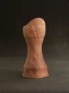 DSCN2690.webp