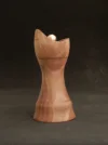 DSCN2691.webp