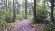 20201008_140725 (1).webp