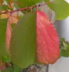 20201010_105854.webp