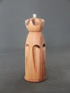 DSCN2705.webp