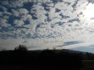DSCN2632.webp