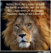 löwe.webp