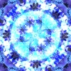 lila blau blumen.webp