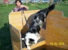 Hundeschule_0148.webp