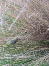IMG-20201024-WA0024.webp