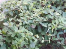 20200720_190609.webp