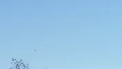 20201108_154036.webp