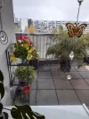 20201110_143502.webp