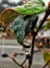 A8E711A1-FD73-48BB-AE0A-36931B55EC94.webp