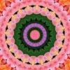 kaleidoscopeLime-20201117-113000.webp