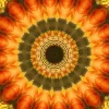 kaleidoscopeLime-20201117-113500.webp