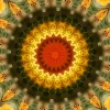 kaleidoscopeLime-20201117-113408.webp