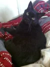 Leo jetzt.webp