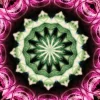 kaleidoscopeLime-20201119-142441.webp