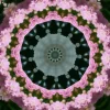 kaleidoscopeLime-20201119-143530.webp