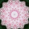 kaleidoscopeLime-20201119-143420.webp