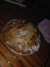 walnussbrot 4.webp