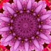 kaleidoscopeLime-20201120-195135.webp