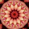 kaleidoscopeLime-20201119-181128.webp
