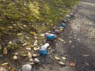 DSCN4449.webp