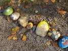 DSCN4451.webp
