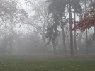 20201124_093142.webp