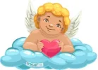 1 P-Engel.webp