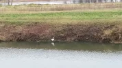 IMG_20201128_135012.webp