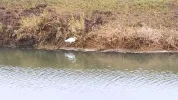 IMG_20201128_135129.webp
