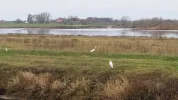 IMG_20201128_141108.webp