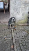 20201122_122844.webp