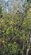 20201129_140754_Richtone(HDR).webp