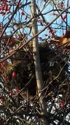 20201129_143759_Richtone(HDR).webp