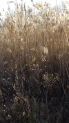 20201129_135823.webp