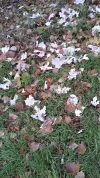 20201129_145235_Richtone(HDR).webp